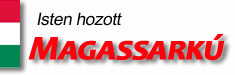 magassarkú cipő webáruház - www.magassarkú.com